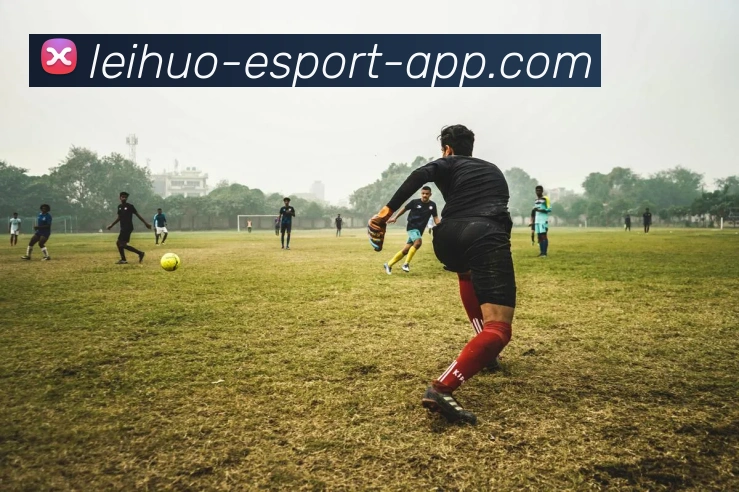 App Interface Preview